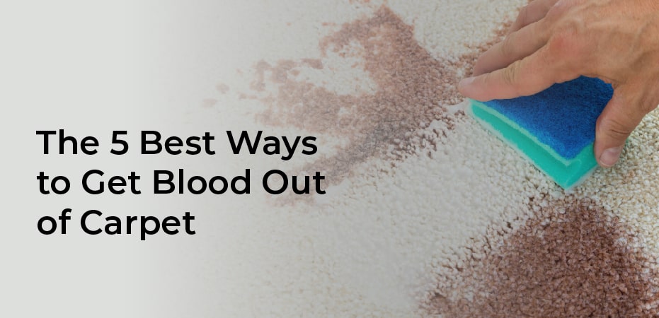 How To Get Dried Blood Out Of Carpet