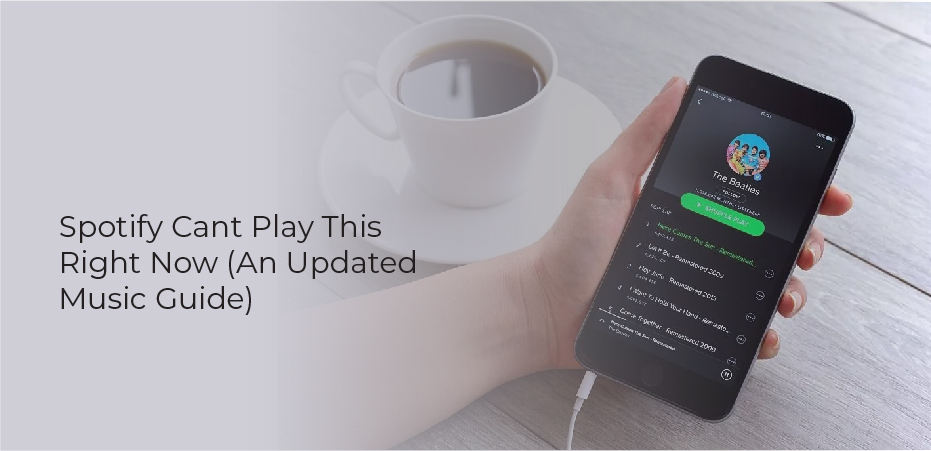 spotify cant play this right now