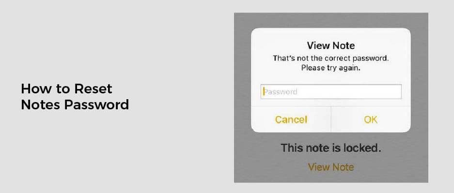 How to Reset Notes Password