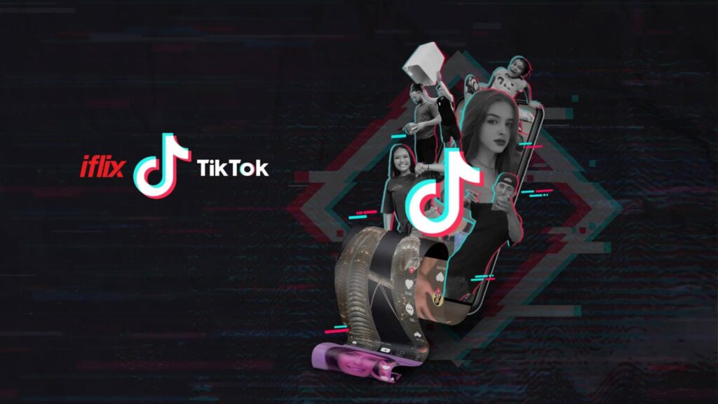 Buy 1000 TikTok Followers Cheap