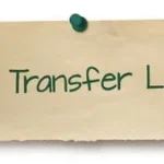 Maximizing Sales Potential with Live Transfer Leads