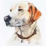 Capturing Canine Charm: The Allure of Dog Custom Portraits