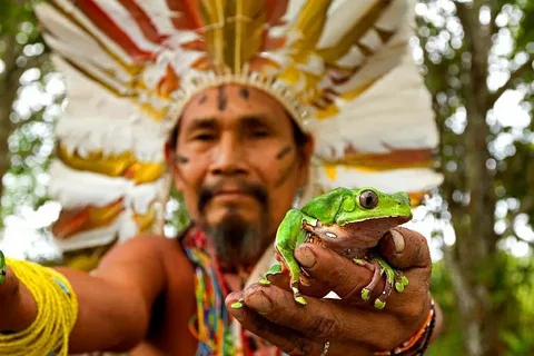 The Benefits of a Local Kambo Ceremony